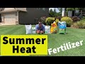 Summer Heat fertilizer