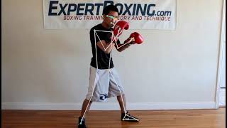 boxing training pose ESTIMATION