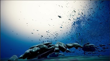 50.000 FISH !!! #unity #3d #simulation #gamedev #shorts