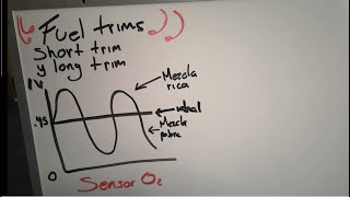 ¿Qué son y cómo funcionan los short fuel trims (cortes de combustible)?