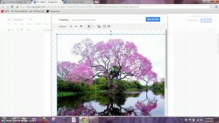 Google Drive-Inserting a drawing