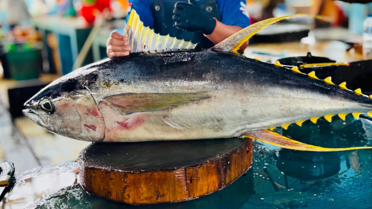 Навыки разделки тунца | Искусство и техника на традиционных рыбных рынках