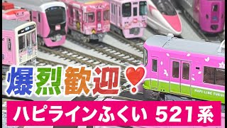 Arriving!] A grand welcome for the Hapi Line Fukui 521 series