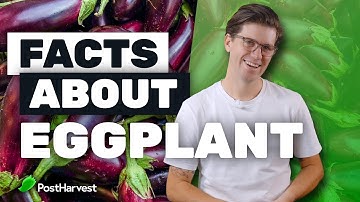 Facts About Eggplant