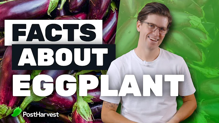 Facts About Eggplant - DayDayNews