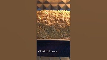 Bánh mì bột nguyên cám