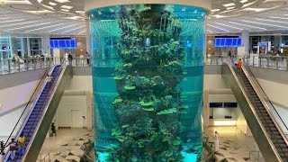 World s Largest Airport Aquarium At Jeddah Saudi Arabia