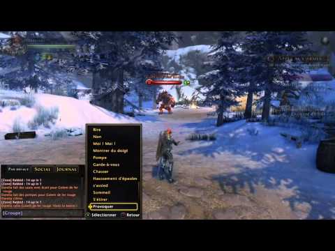 Build Paladin Tank Neverwinter En Francais Build Paladin Tank Neverwinter En Francais