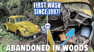 Disaster Barnyard Find ABANDONED in Woods | First Wash Since 1997! | VW Beetle Detailing Restoration