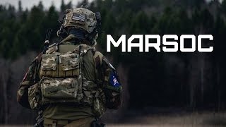 MARSOC • Marine Corps Special Operations Command • USMC(Music: Position Music - Deities And Destroyer • Social network: YouTube https://www.youtube.com/c/AntonKomogortsev VK Public 