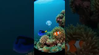 Dorys Squishy Has Grown Up