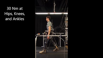 Dynamic Walking 2018 - Walking Experiments in BiLLEE