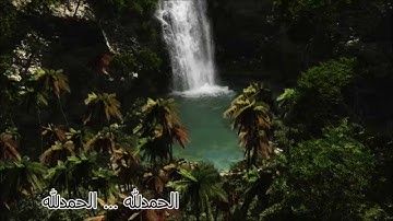 قرآن || سورة الملك || بصوت #محمد صلاح نافع