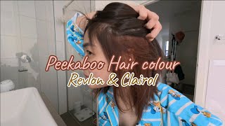เปลี่ยนสีผมสองสีด้วยงบ 20aud 💸#peekabooHairColour #ย้อมผมเอง #clairol #revlon #byartyhin #haircolour