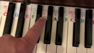 Silicone Piano Key Labels - Great for beginners!  First Impressions & Demo
