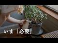 迷ったら“今必要?”で考える