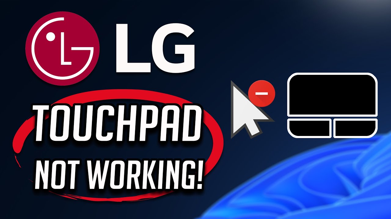 LG Touchpad Not Working in Windows 11/10 [Tutorial] YouTube