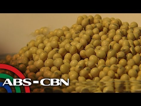 Salamat Dok: Maganda at masamang epekto ng pagkain ng soy products