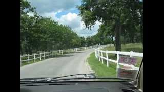 The road to the famous stud farm Lipica in Slovenia