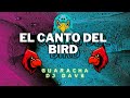 El canto del bird  dj dave guaracha