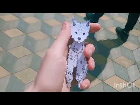 Ми заблукали!? Що?