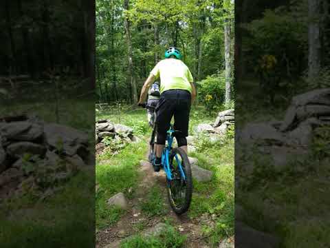 Breaking The Cycle-June