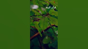 إنه لقران كريم #اكسبلور #القران #المصحف #الواقعة