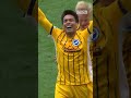 What A First Goal! Diego Gomez!! 🇵🇾 #brightonandhovealbion
