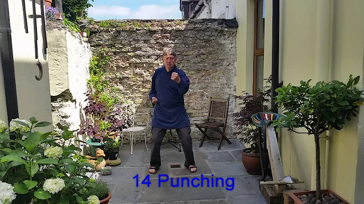 Tai Chi 18 piece Qigong Shi Ba Shi