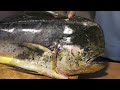 The sharpest knife cuts GIANT Dolphin Fish (MAHI MAHI)   - Taiwanese Seafood