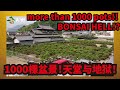 【Welcome to BONSAI HELL!!】Great Bonsai Master HIRAMASTU KOJI’s nursery tour!!!