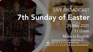 7th Sunday of Easter (24 May 2020)