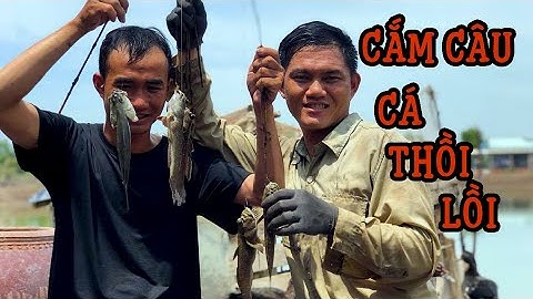 Cắm Câu Cá Thòi Lòi Khổng Lồ Trong Rừng Cần Giờ