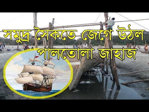 ভিডিও: নির্দিষ্ট ষাঁড় বধ