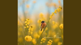 Subtle Joy