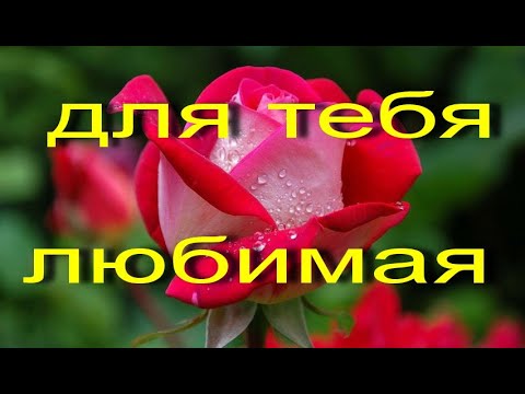 для тебя--ЛЮБИМАЯ! #видеооткрытки #анимация