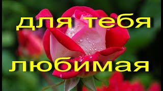 для тебя--ЛЮБИМАЯ!  #видеооткрытки  #анимация