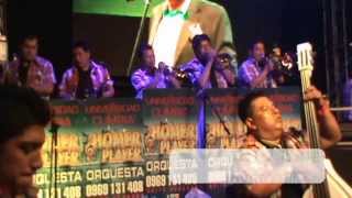 (SUEÑO CONTIGO) HOMER PLAYER ORQUESTA 100% EN VIVO CANTA GUSTAVO VELASQUEZ