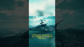 နေတိုးကို စိန်ခေါ်ခဲ့တဲ့ Part-2 #GulfWar #F15 #Mig29 #AirCombat #MilitaryHistory #historywar
