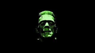 Frankenstein Chapter 13