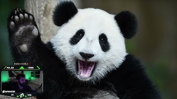 Gladd - Dec. 06, 2024 (Pt. 1) | Path of Exile 2