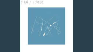 I. - Shum