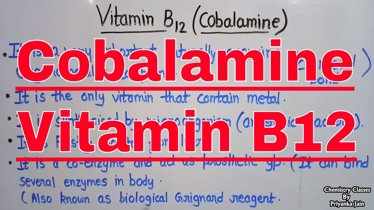 Vitamin B12 / cobalamin ; its structure , functions , biological role as  coenzyme - video Dailymotion