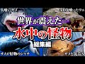 【総集編】世界が震えた…水中に潜む怪物・超危険生物たちについてまとめ【閲覧注意】【ゆっくり解説】【ワニ】【サメ】【シャチ】