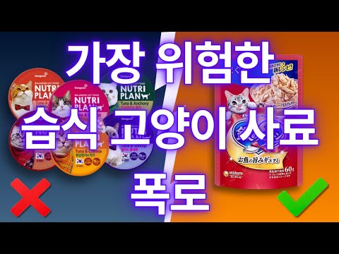 절대 피해야 할 고양이 습식 사료 10가지 (그리고 안전한 몇 가지)
