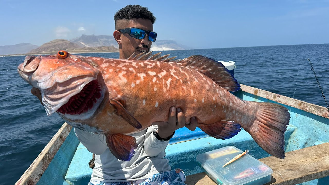 الجزء الأول من جزيرة سقطرى لصيد الوحوش