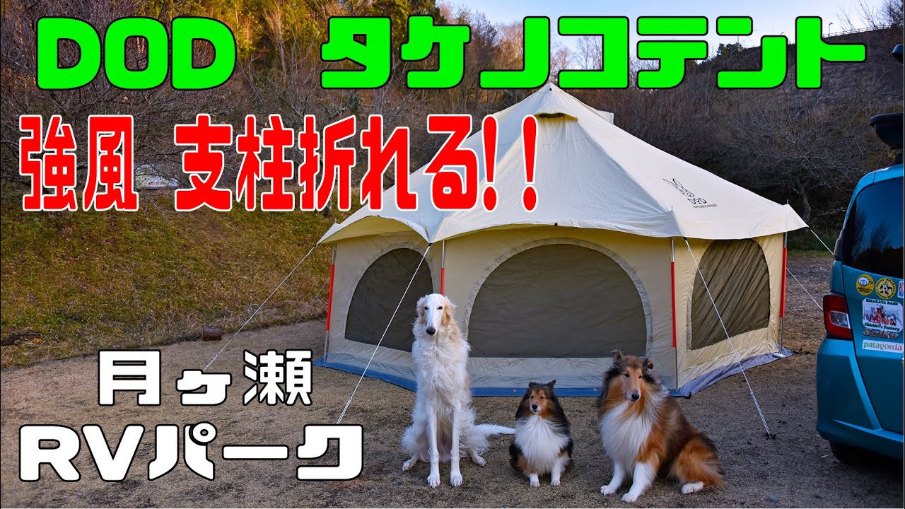 26日まで　TAKENOKO TENT タケノコテント 26日まで TAKENOKO TENT タケノコテント