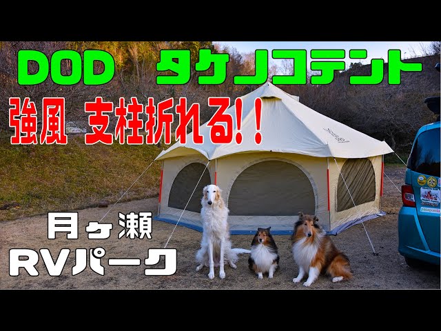 Solo camping + Ones 3 DOD Takenoko tent (strong wind and snow