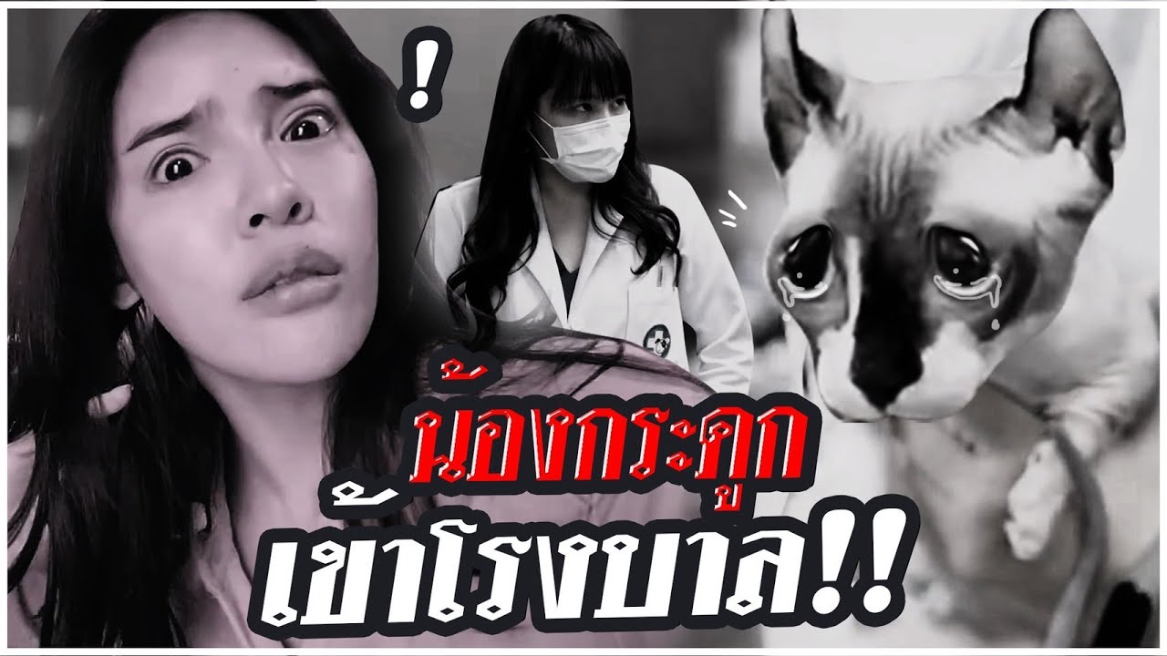 นิสาเศร้า...น้องกระดูกต้องเข้าโรงบาล!! | Nisamanee.Nutt