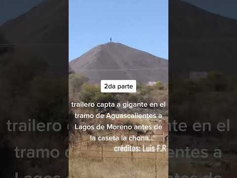 Captan presunta criatura
